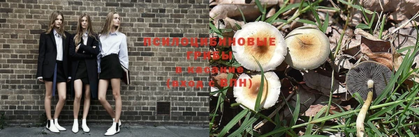 прущая мука Армянск