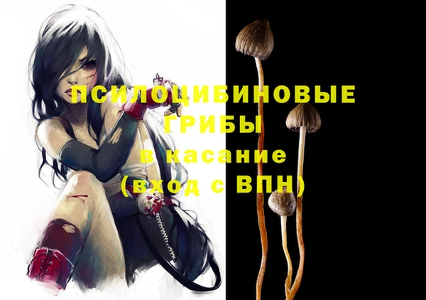 Альфа ПВП Арсеньев